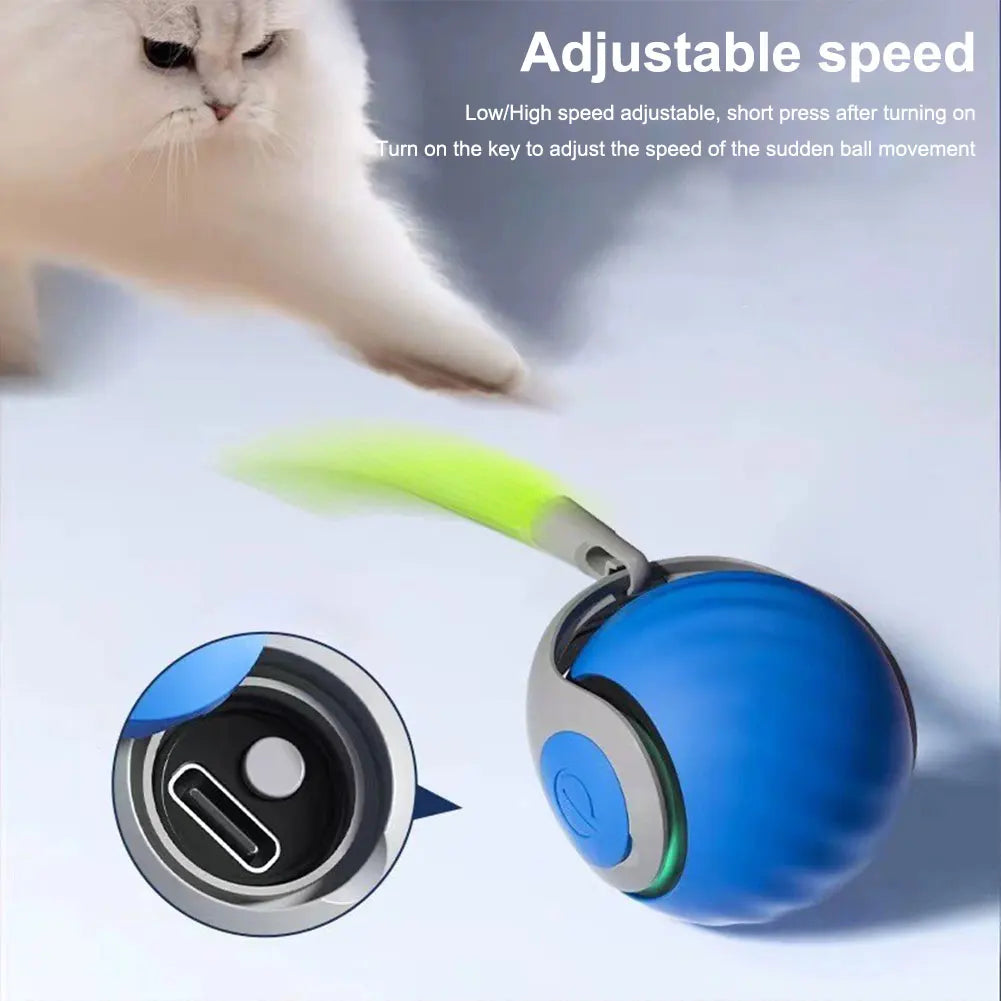 Electronic Interactive Pet Ball