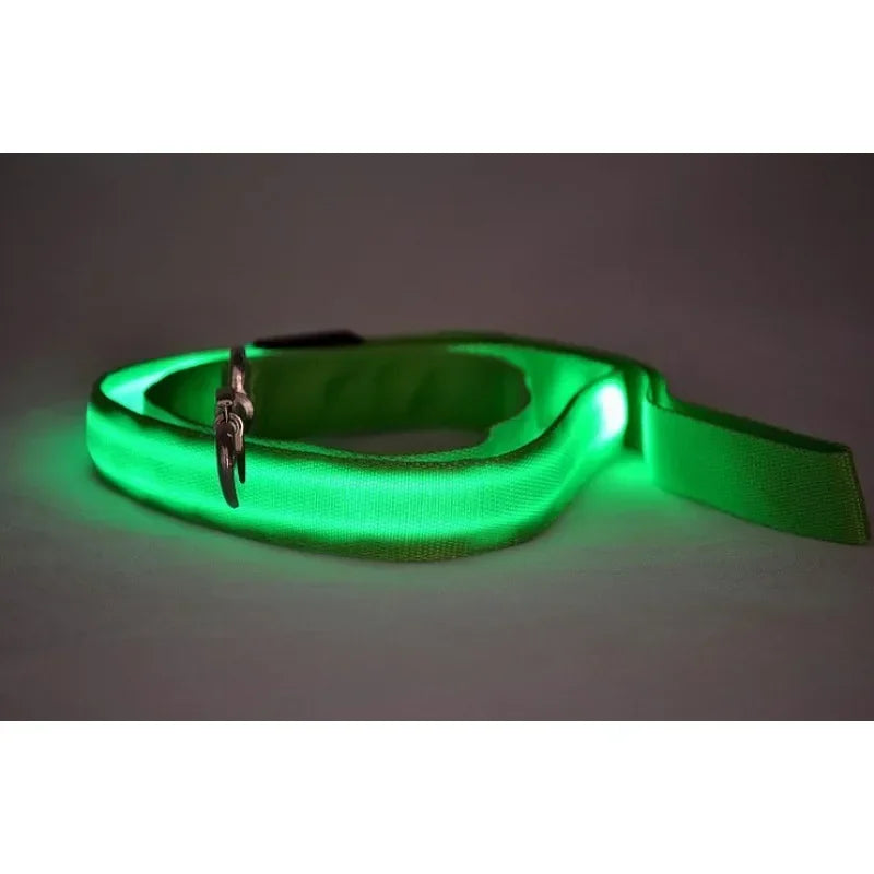 Flashing LED Dog Leash
