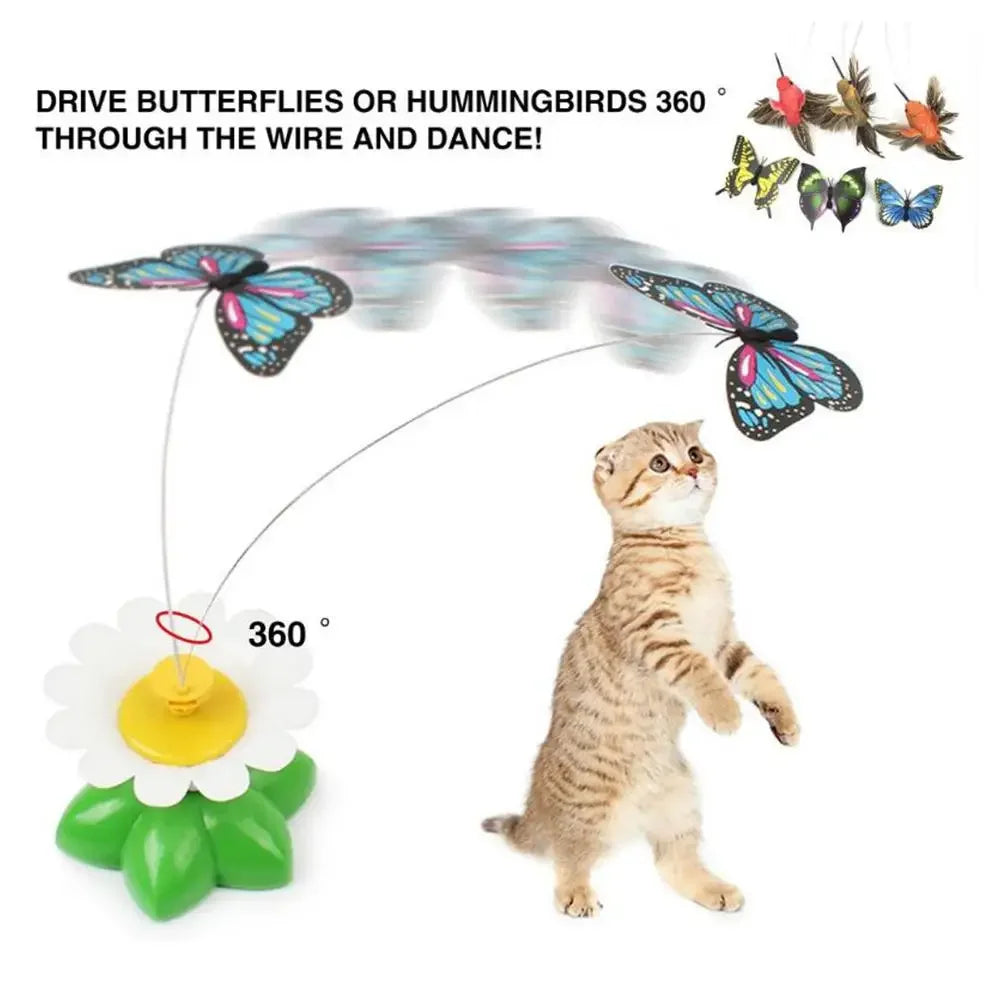 1PCS Electric Butterfly Cat Toy