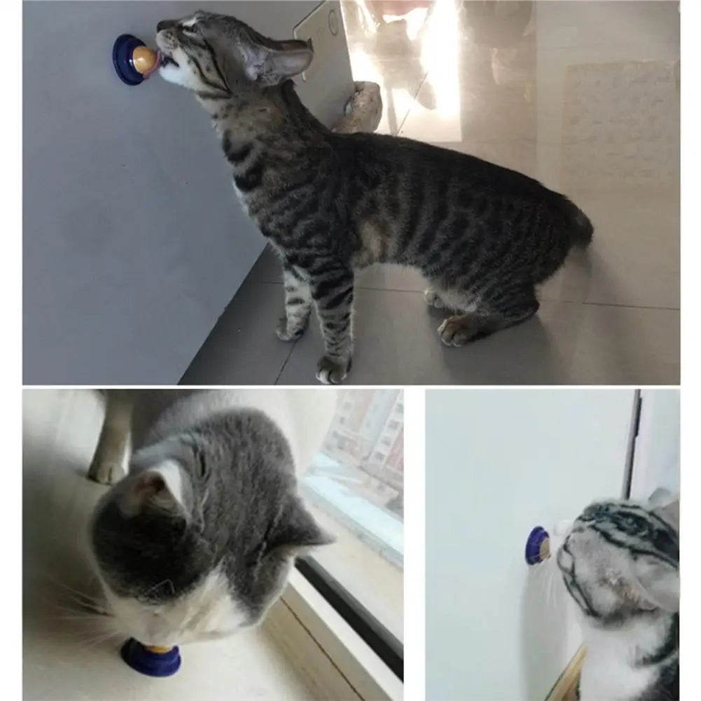 Cat Treat Licking Ball