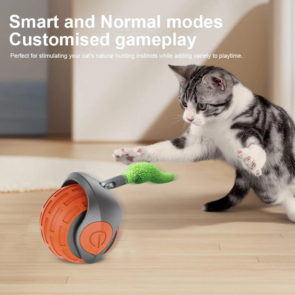Rechargeable Smart Pet Rolling Ball