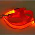 Flashing LED Dog Leash
