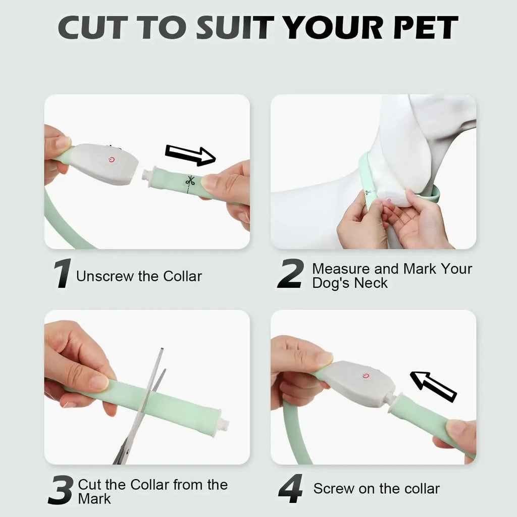 USB Rechargeable Glowing Dog Collar