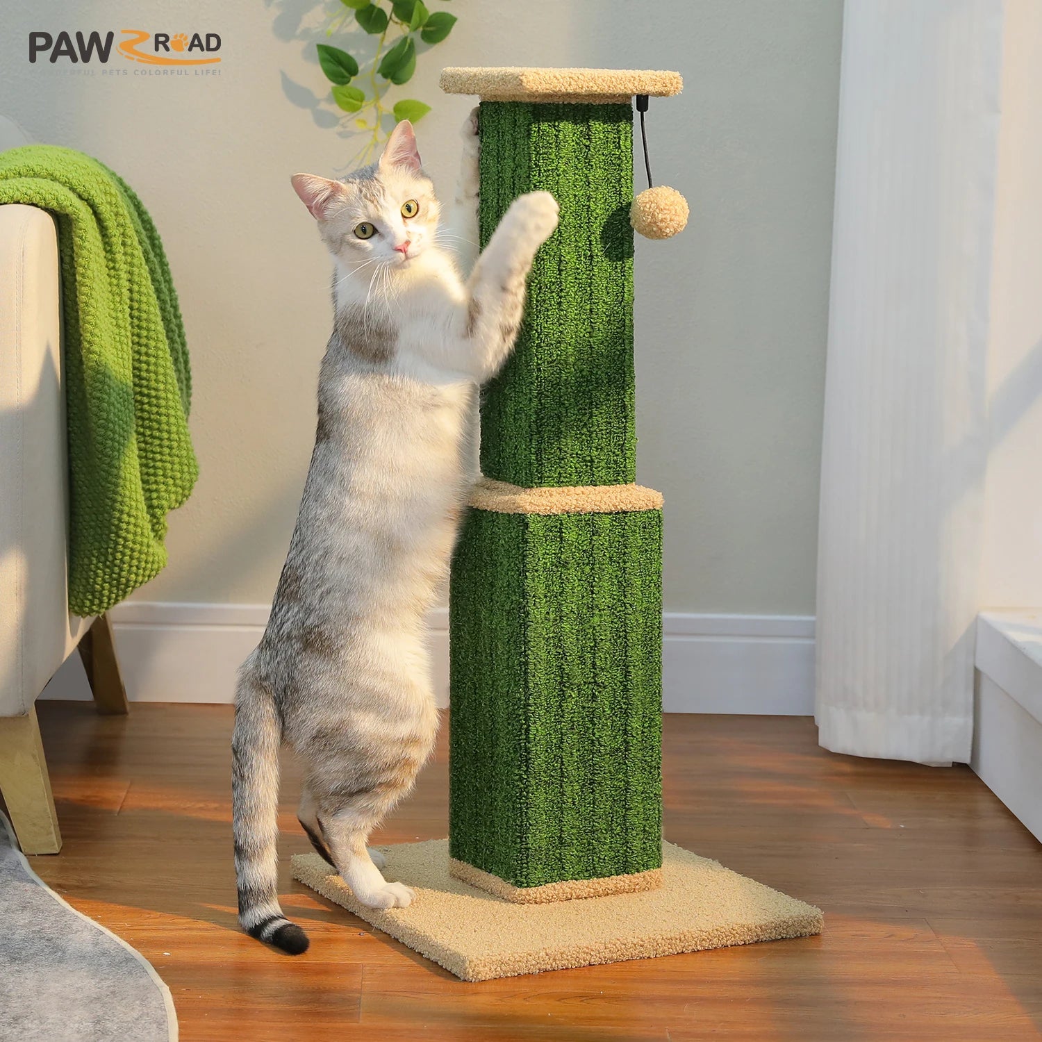 Ultimate Cat Scratch Post