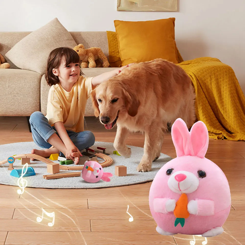 Cartoon Interactive Rechargeable Balls