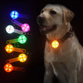 Rechargeable LED Pet Collar Pendant