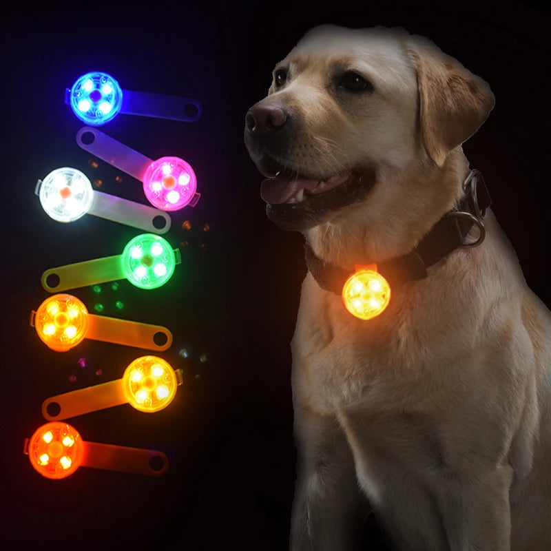 Rechargeable LED Pet Collar Pendant