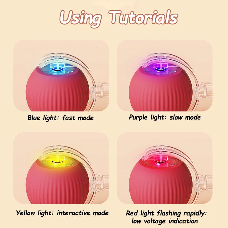 Interactive Ball & Rechargeable Mouse